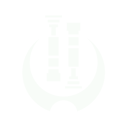 Sentinel icon